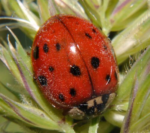 Userfoto