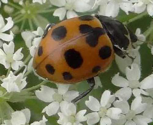 Userfoto