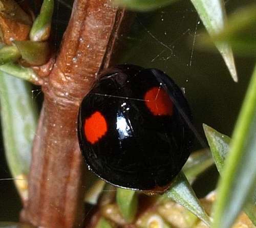 Userfoto