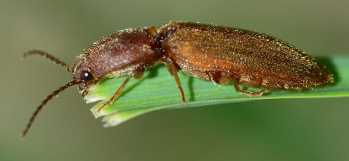 Userfoto