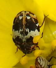 Thumbnail 200920 B