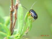 Thumbnail 209615 B