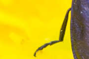 Thumbnail 210825 B