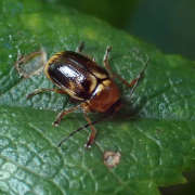 Thumbnail 220072