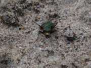 Thumbnail 221549 B
