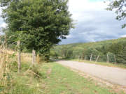 Thumbnail 223935 B