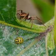 Thumbnail 230127 B
