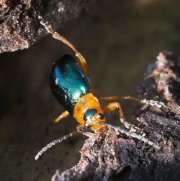 Thumbnail 230803 B