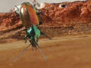 Thumbnail 236032 A