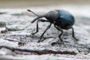 Thumbnail 241236 B