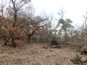 Thumbnail 246076 B