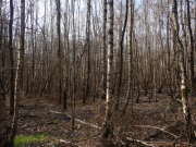 Thumbnail 247352 B