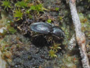 Thumbnail 251170 A