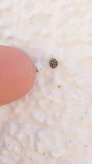 Thumbnail 256823 B