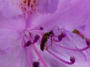 Thumbnail 270902