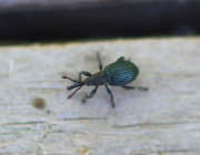 Thumbnail 272801