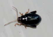 Thumbnail 280353 B