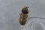 Thumbnail 281023 A