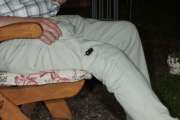 Thumbnail 281672 B