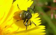 Thumbnail 282197 A