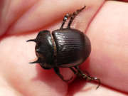 Thumbnail 285409