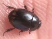 Thumbnail 288371