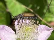 Thumbnail 289608