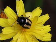 Thumbnail 290410
