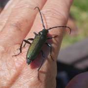 Thumbnail 291051 B