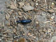 Thumbnail 292850 B
