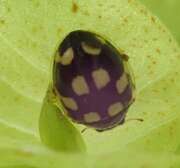 Thumbnail 295159 B