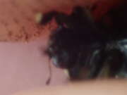 Thumbnail 296301 C