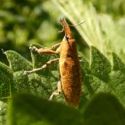 Thumbnail 297037 B