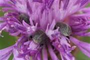 Thumbnail 297304 B