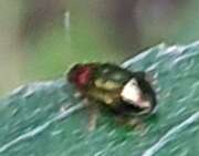 Thumbnail 300649