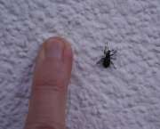 Thumbnail 304697 B