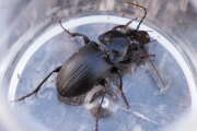 Thumbnail 308377 B