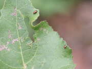 Thumbnail 311094 B