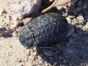 Thumbnail 311460 B