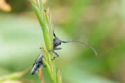 Thumbnail 314019 B