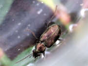 Thumbnail 315537 B