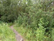 Thumbnail 316449 C