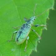 Thumbnail 317345 B