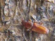 Thumbnail 319025 B