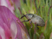 Thumbnail 319044 B