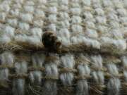 Thumbnail 321109 B