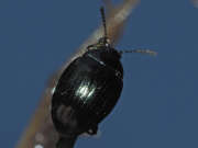 Thumbnail 322083 B