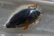 Thumbnail 322504 B