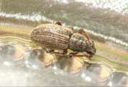 Thumbnail 322540 B