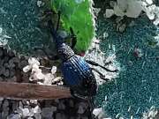 Thumbnail 323745 B